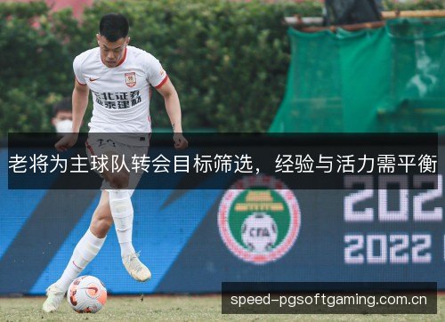 老将为主球队转会目标筛选，经验与活力需平衡